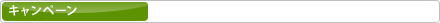 �H�c��`�E���c��`�E�֋�E�ɒO ���ԏ�\�� ANA�}�C�������܂�y�}�C���X�}�C���z�B���T�C�g����̂��m�点�E�L�����y�[�������ē��B